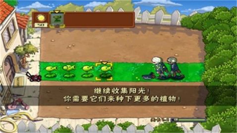 植物大战僵尸升天版