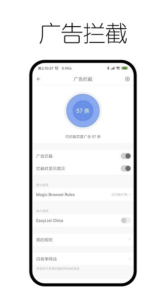 神奇浏览器app