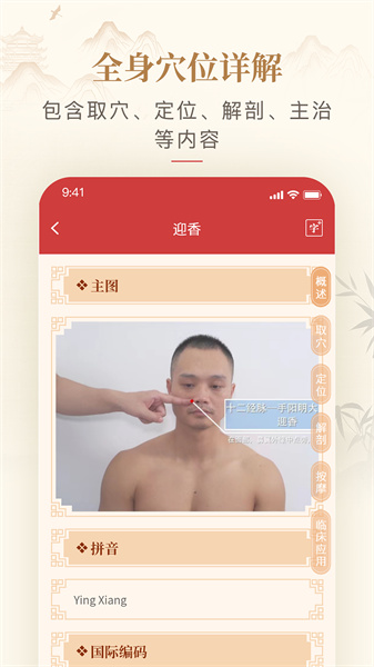 人体穴位图解app