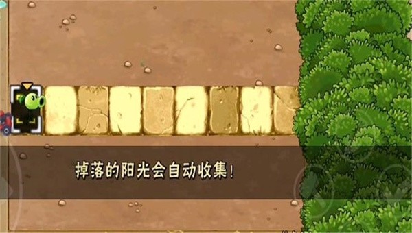 植物大战僵尸H版