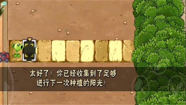 植物大战僵尸H版